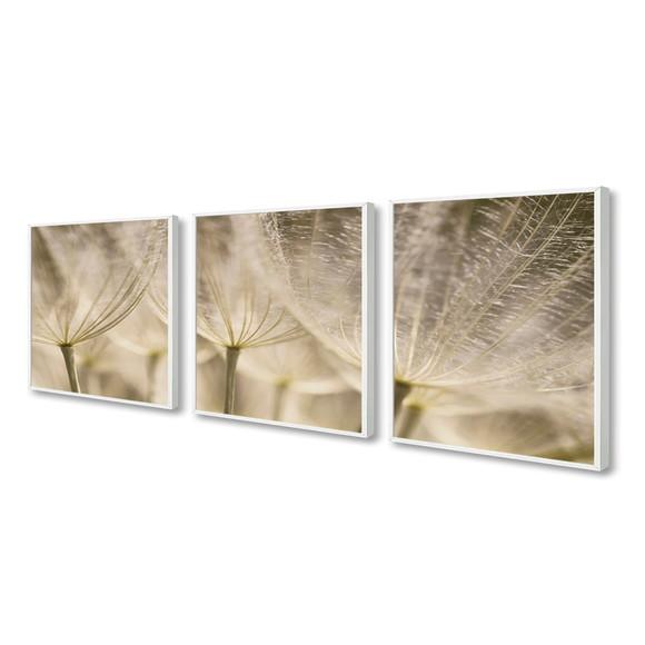 Kit 3 Quadros Decorativos Moderno Flor Dente De Leão Moldura