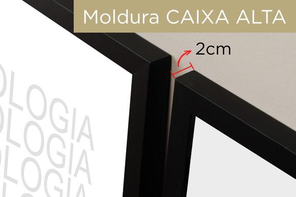 Kit 3 Quadros Decorativos Moderno Psicologia Cérebro Moldura