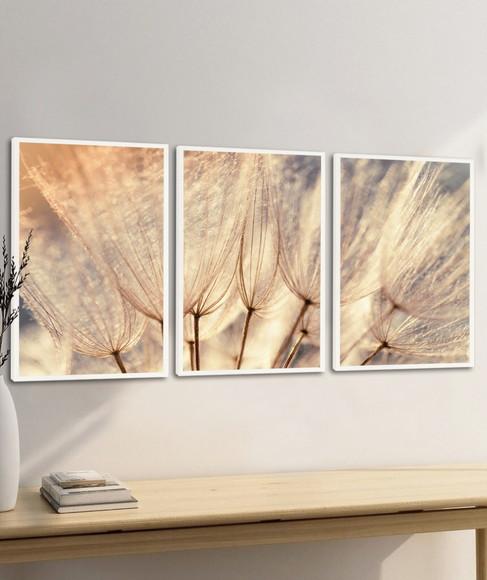 Kit 3 Quadros Decorativos Modernos Dente de Leão com Moldura