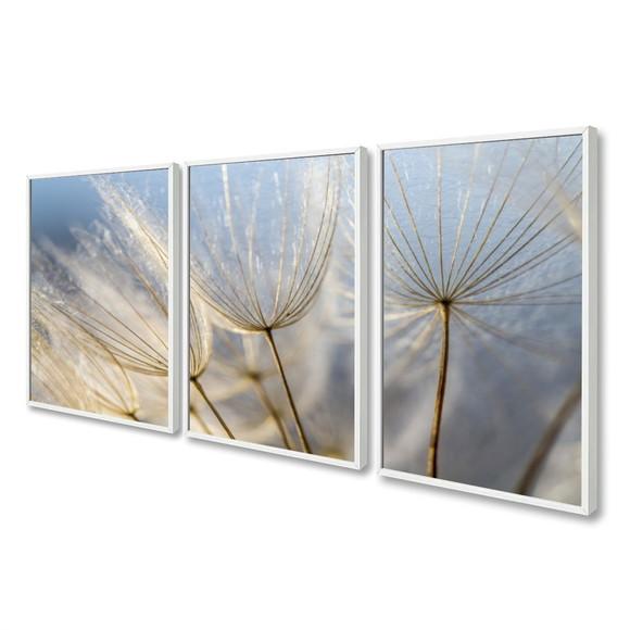 Kit 3 Quadros Decorativos Modernos Dente de Leão com Moldura