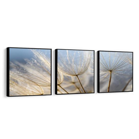 Kit 3 Quadros Decorativos Modernos Dente De Leão Com Moldura