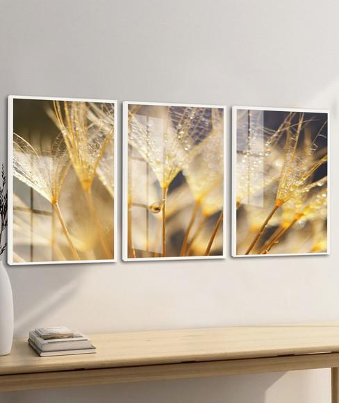 Kit 3 Quadros Decorativos Modernos Flor Dente de Leão Vidro