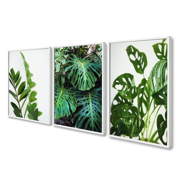 Kit 3 Quadros Decorativos Modernos Folhagem Verde Moldura