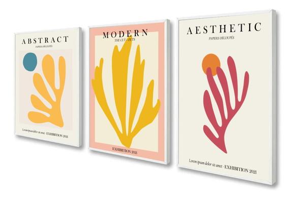 Kit 3 Quadros Decorativos Modernos Matisse Para Sala Moldura