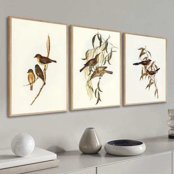 Kit 3 Quadros Decorativos Modernos Pássaros Sala Com Moldura