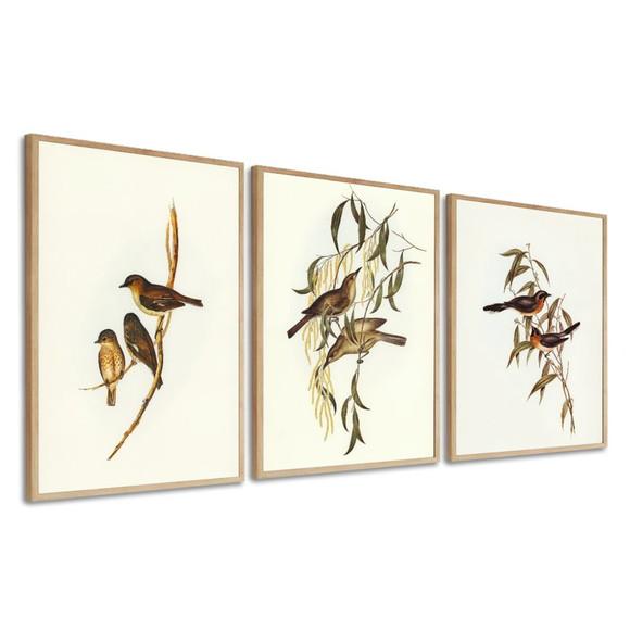 Kit 3 Quadros Decorativos Modernos Pássaros Sala Com Moldura