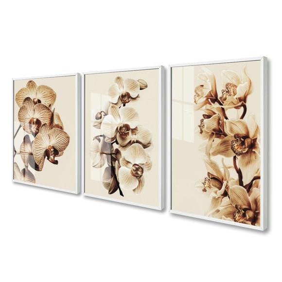 Kit 3 Quadros Decorativos Orquídea Bege Flor Moldura E Vidro