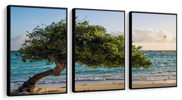 Kit 3 Quadros Decorativos Paisagem Arvore Praia Mar Moldura