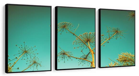 Kit 3 Quadros Decorativos Paisagem Plantas Para Sala Moldura