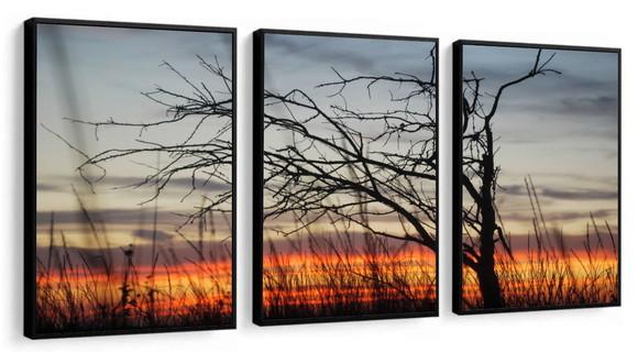 Kit 3 Quadros Decorativos Paisagem Pôr Do Sol Com Moldura