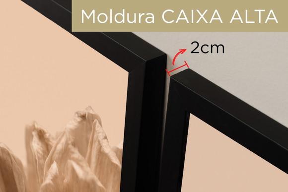 Kit 3 Quadros Decorativos Para Sala Folhagem Bege Moldura
