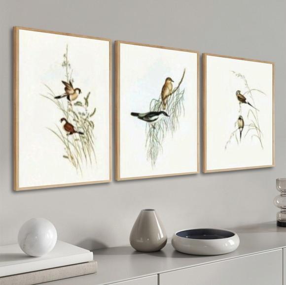 Kit 3 Quadros Decorativos Pássaros Modernos Sala Com Moldura