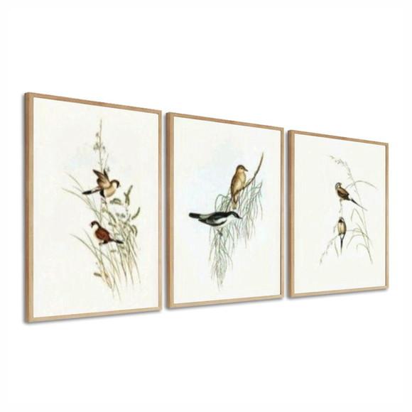 Kit 3 Quadros Decorativos Pássaros Modernos Sala Com Moldura