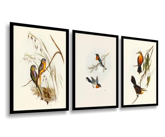 Kit 3 Quadros Decorativos Pássaros para Sala Quarto Moldura