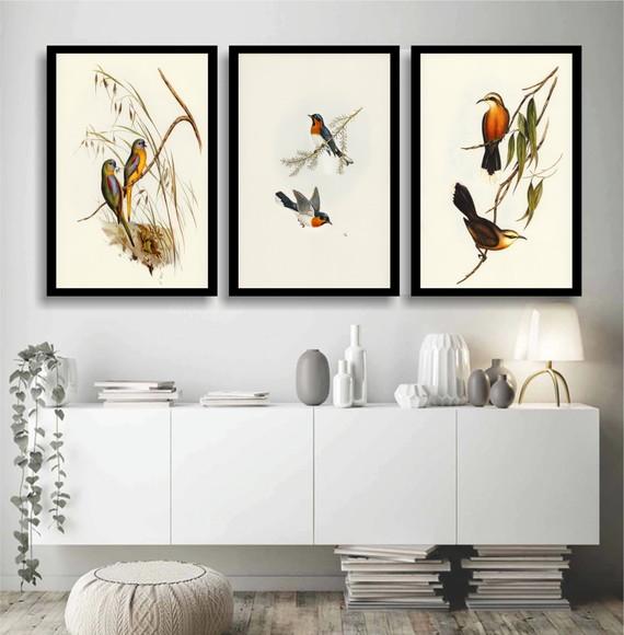 Kit 3 Quadros Decorativos Pássaros para Sala Quarto Moldura