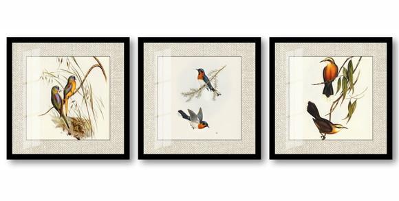 Kit 3 Quadros Decorativos Pássaros Paspatur Vidro e Moldura