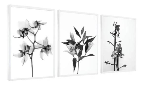 Kit 3 Quadros Decorativos Preto e Branco Flores Com Moldura