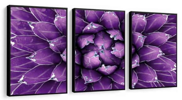 Kit 3 Quadros Decorativos Suculentas Para Sala Hall Moldura