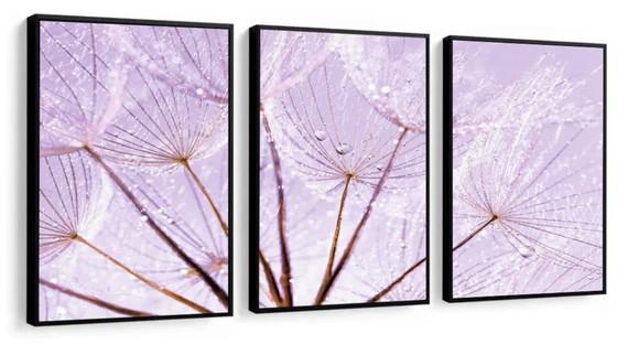 Kit 3 Quadros Flor Dente De Leão Decoração Botânico Moldura