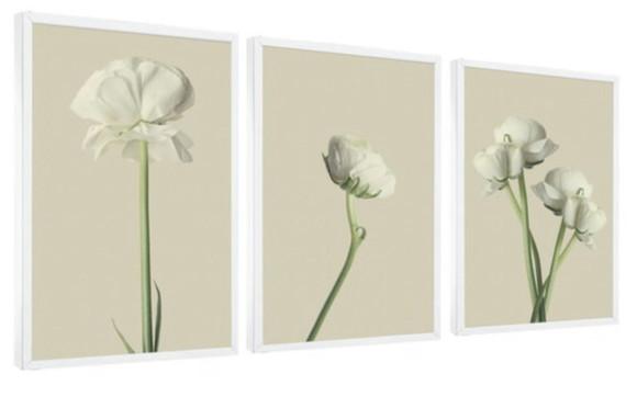 Kit 3 Quadros Flores Brancas Decoração Conjunto Com Moldura