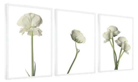 Kit 3 Quadros Flores Brancas Decoração Conjunto Com Moldura