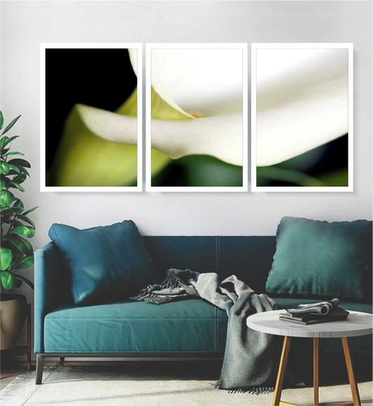 Kit 3 Quadros Flores Copo De Leite Decoração Jardim Moldura