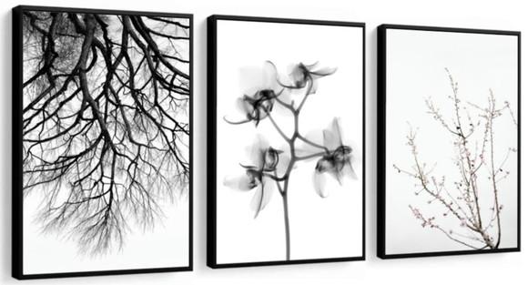 Kit 3 Quadros Flores Preto e Branco Decoração Galhos Moldura