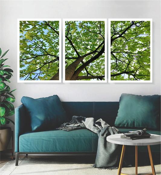 Kit 3 Quadros Floresta Verde Decoração Folhagem Com Molduras