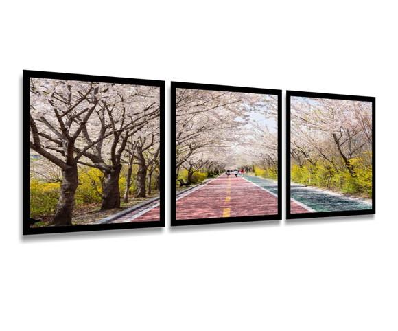 Kit 3 Quadros Florestas Estrada Decoração Paisagem Molduras
