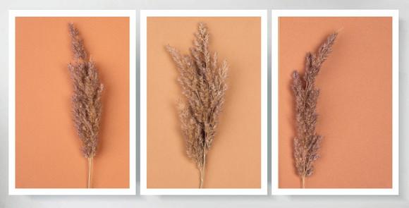 Kit 3 Quadros Folhagem Botânico Conjunto Decoração Moldura