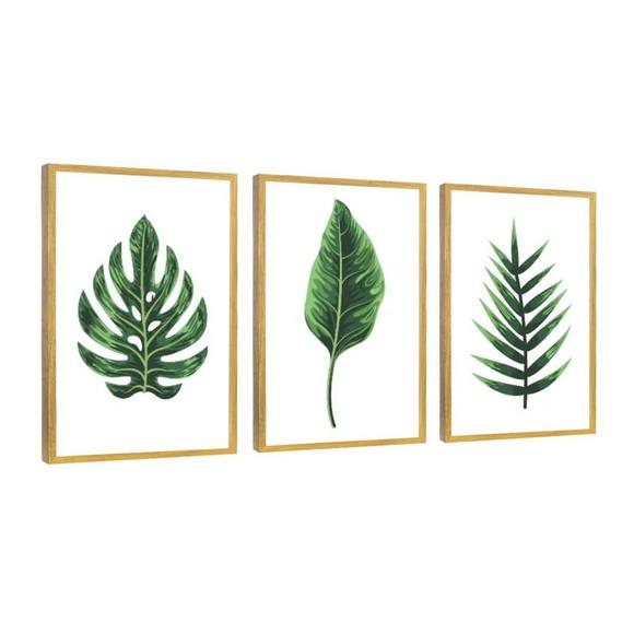 Kit 3 Quadros Folhagem Verde Costela Decoração Com Molduras
