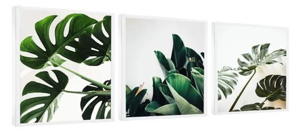 Kit 3 Quadros Folhagem Verde Decoração Conjunto Com Moldura