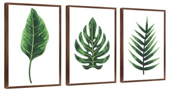 Kit 3 Quadros Folhagem Verde Decoração Monstera Com Molduras