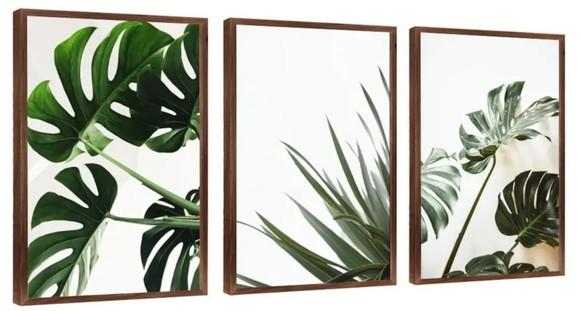 Kit 3 Quadros Monstera Folhagem Verde Decoração Com Molduras