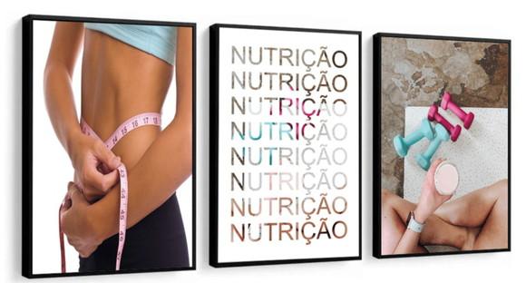 Kit 3 Quadros Nutrição Profissão Saúde Decoração Com Moldur