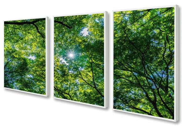 Kit 3 Quadros Paisagem Preto e Branco Decoração Moldura