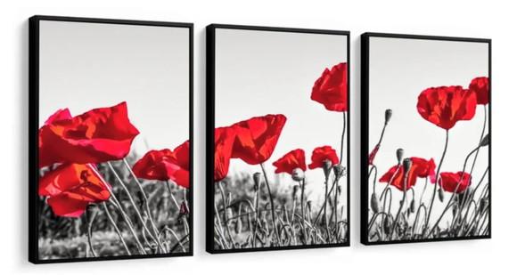 Kit 3 Quadros Papoulas Vermelhas Flores Decoração Molduras
