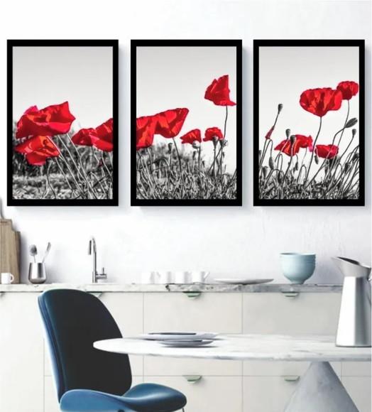Kit 3 Quadros Papoulas Vermelhas Flores Decoração Molduras