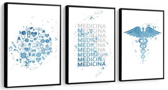 Kit 3 Quadros Profissão Médico Decoração Consultório Moldura