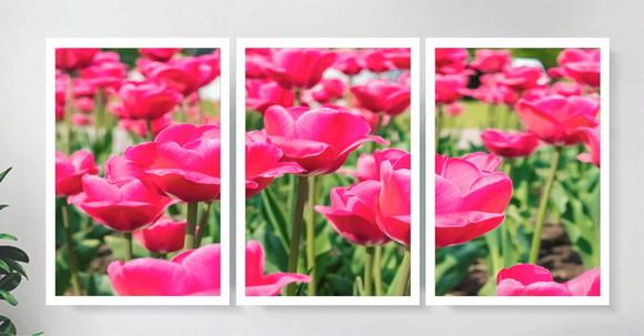 Kit 3 Quadros Tulipas Rosa Decoração Campo Conjunto Moldura