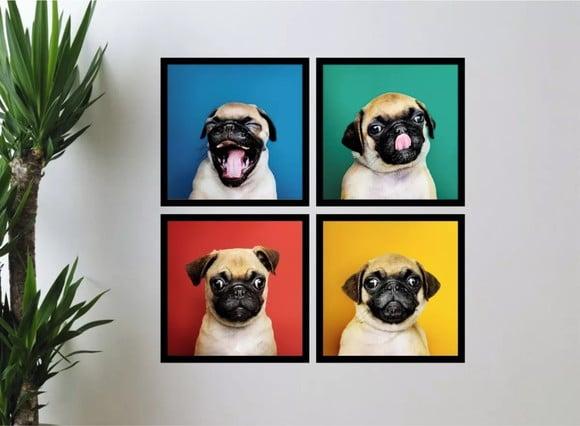 Kit 4 Quadros Decorativos Cachorrinho Pug Dog Com Molduras