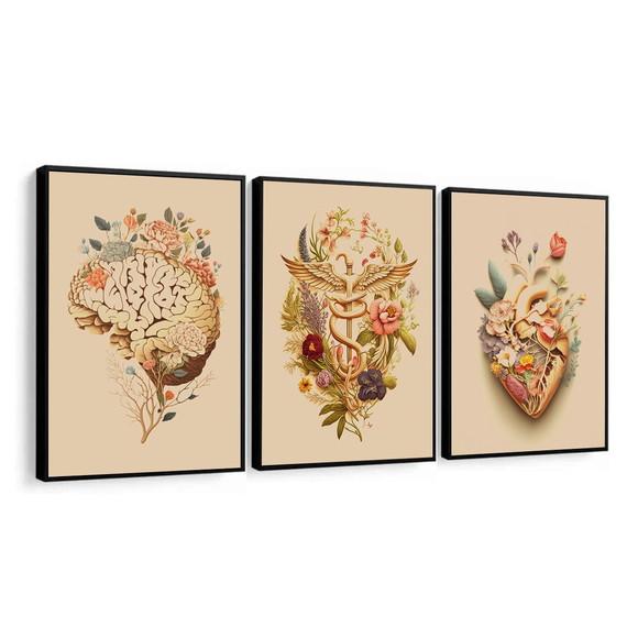 Kit Quadros Decorativos Anatomia Consultório Médico Moldura