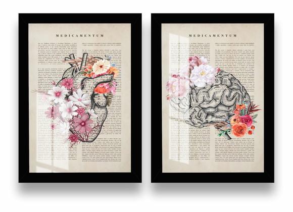 Kit Quadros Decorativos Anatomia Humana Com Moldura e Vidro