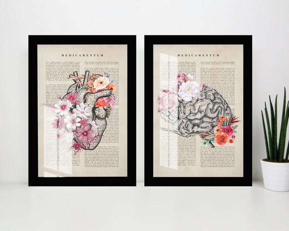Kit Quadros Decorativos Anatomia Humana Com Moldura e Vidro