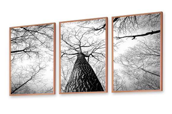Kit Quadros Decorativos Arvore Galhos Preto e Branco Moldura