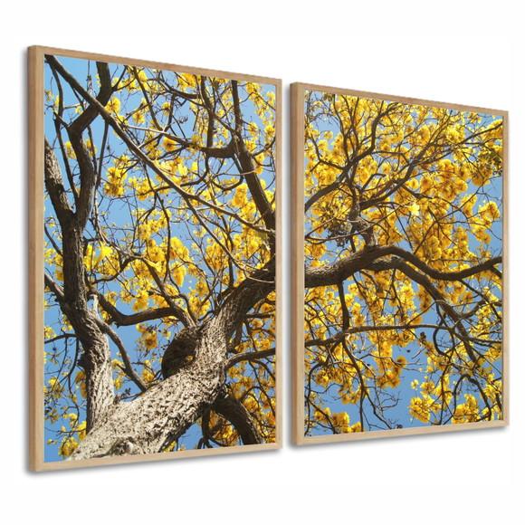 Kit Quadros Decorativos Arvore Folhagem Amarela Moldura