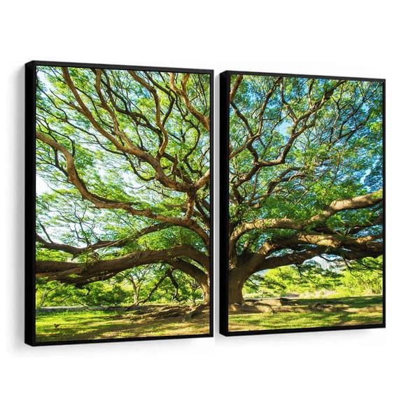 Kit Quadros Decorativos Arvore Verde Galhos Paisagem Moldura