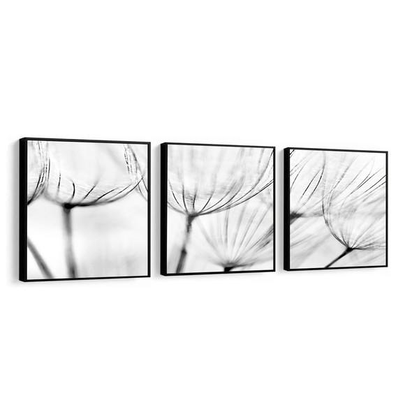 Kit Quadros Decorativos Dente de Leão Preto e Branco Moldura