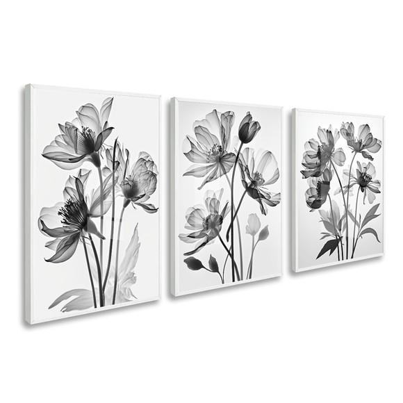 Kit Quadros Decorativos Flores Modernas com Moldura e Vidro