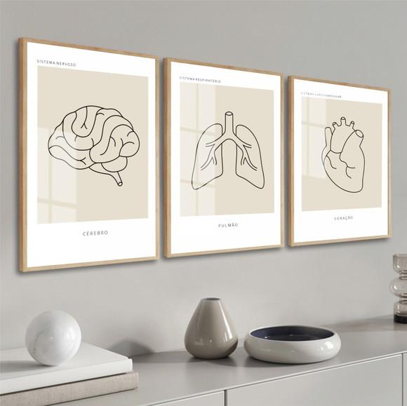 Kit Quadros Decorativos Medicina Consultório Anatomia Vidro